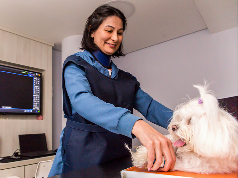 hospital-veterinário-24h-em-jundiai-especialidades