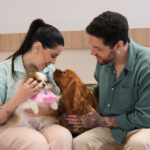 Conheça o Cão & Gato: Hospital Veterinário 24h em Jundiaí